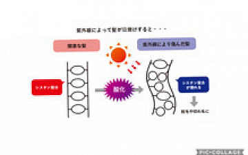 夏の紫外線・頭皮についてのお話